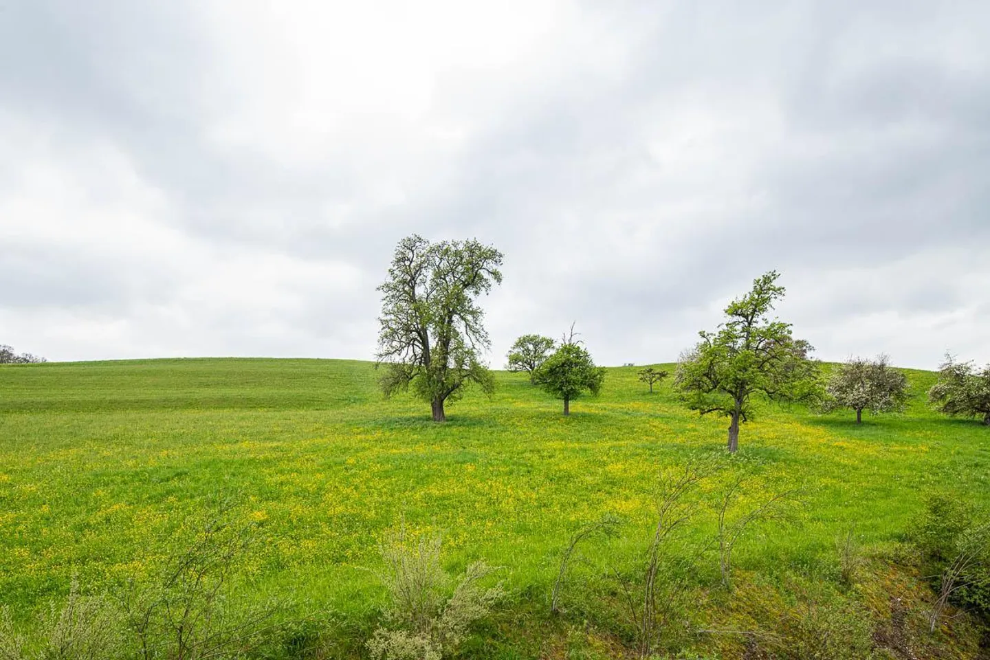 Appartement 3.5 pièces à Feuerthalen - Photo 1 sur 10