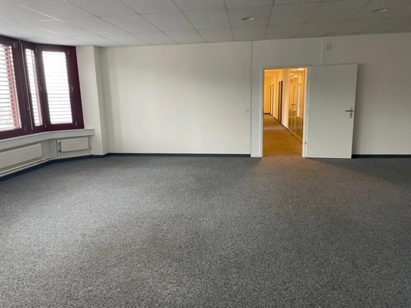 Blick über Zürich - Foto 4 von 7