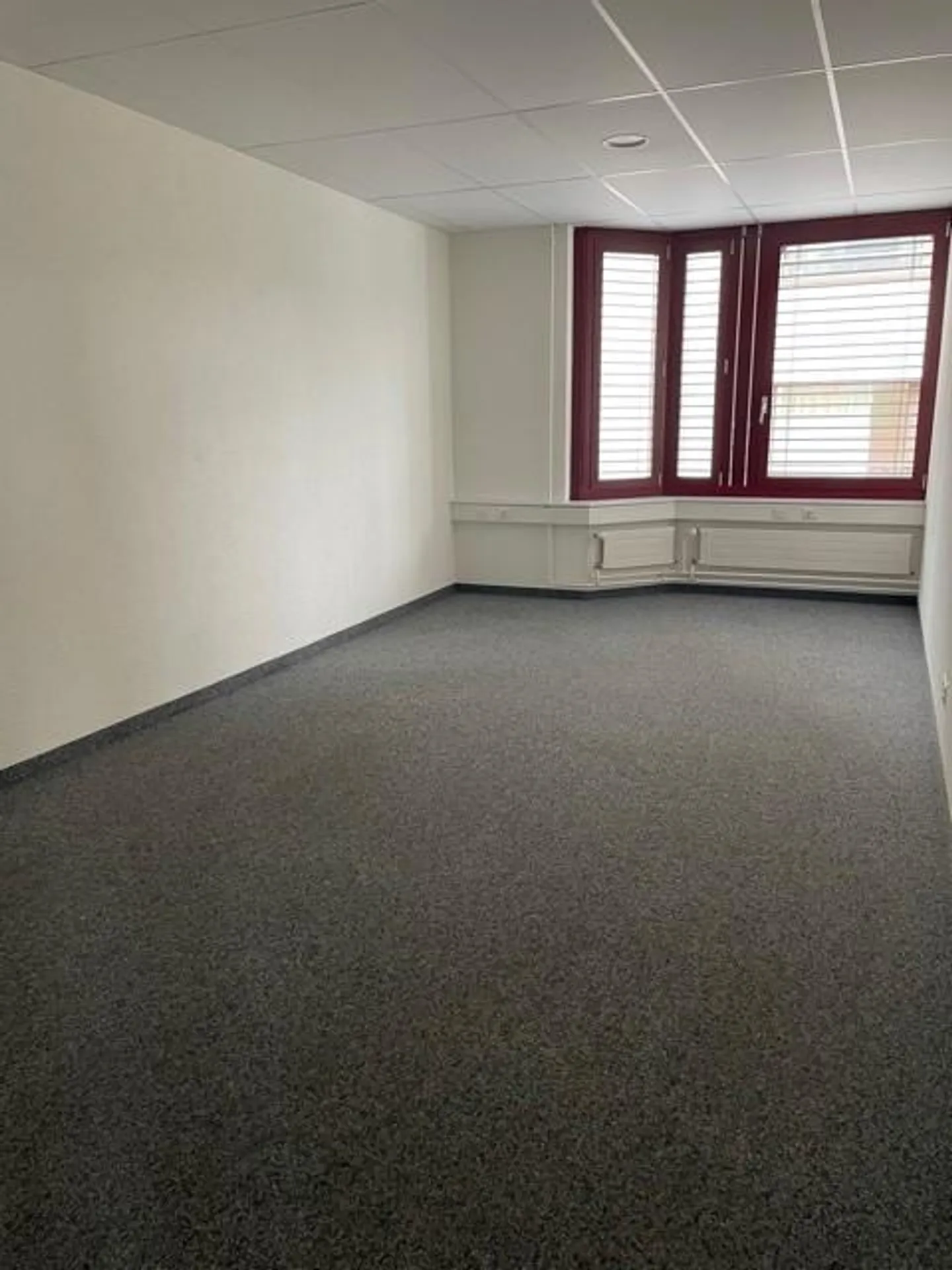 Blick über Zürich - Foto 5 von 7