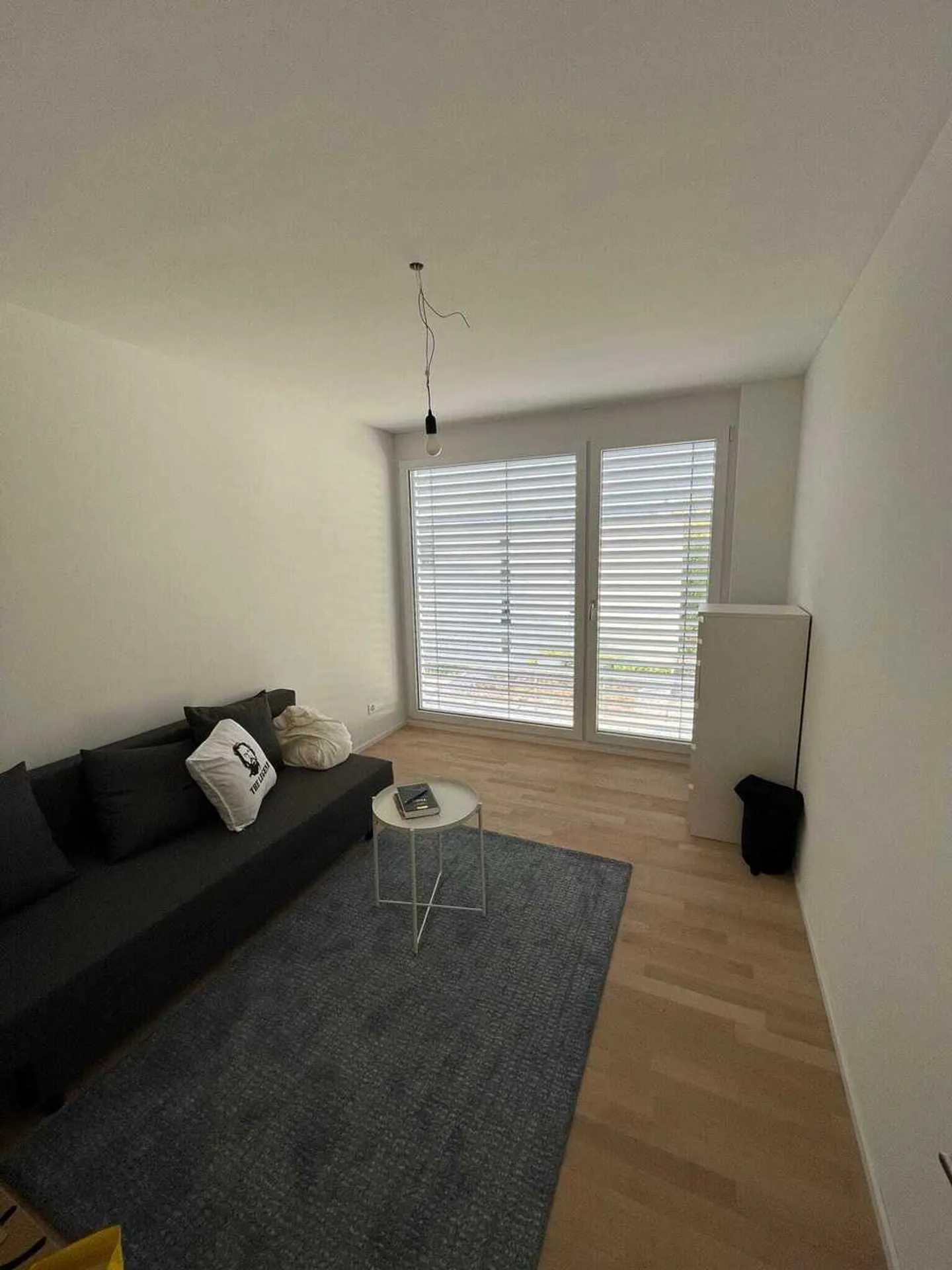 Modern 4.5-Room Apartment - Photo 11 of 13