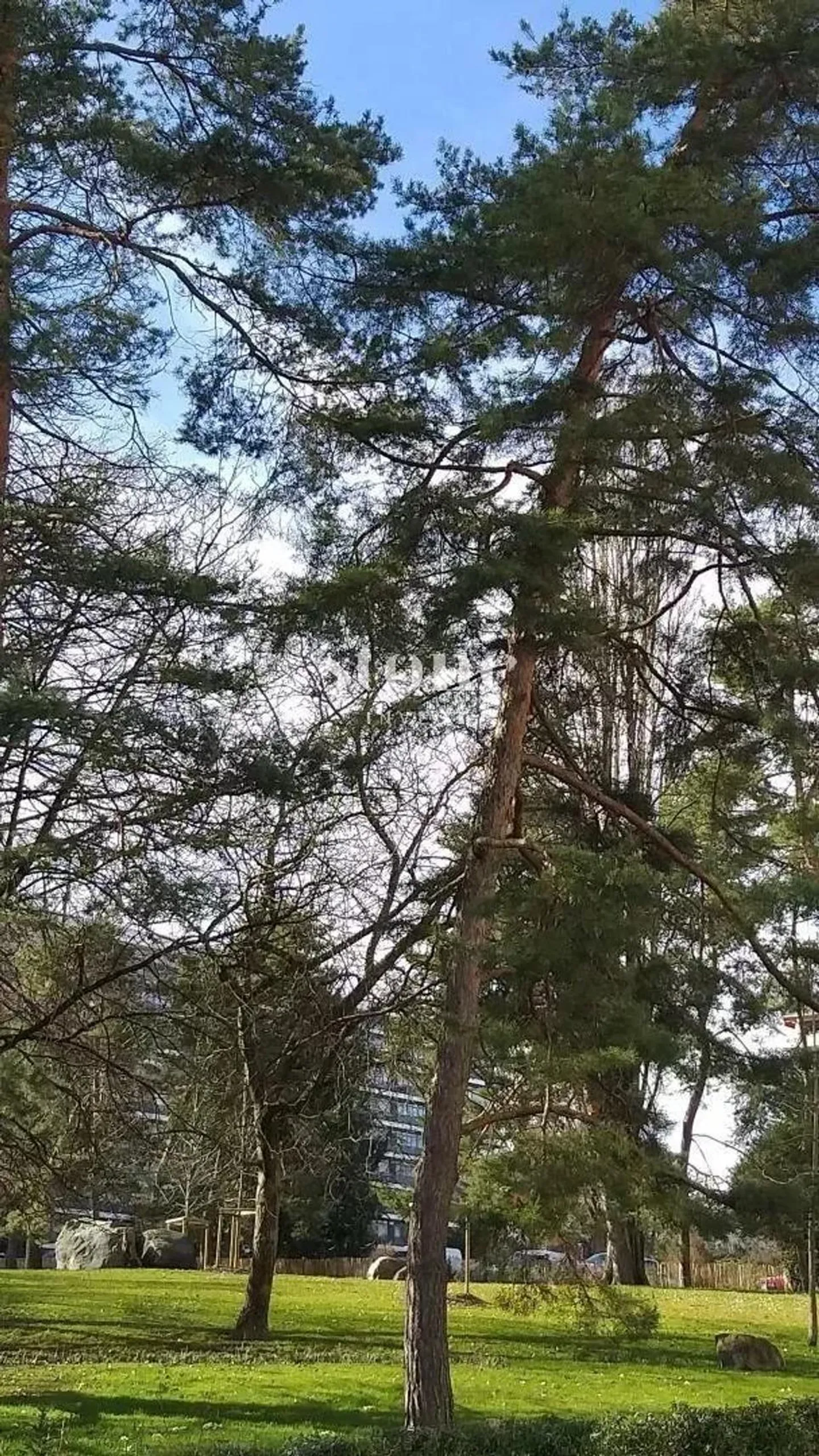 Apartment with panoramic view of the lake and mountains + POOL - Photo 5 of 12