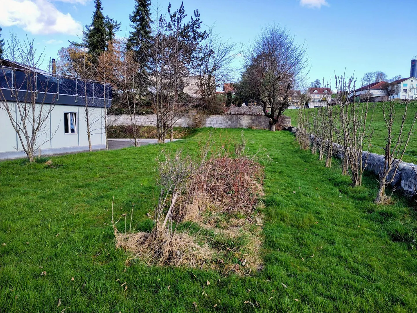 Appartamento unico di 4,5 stanze con molto spazio esterno e privacy - Foto 8 di 8