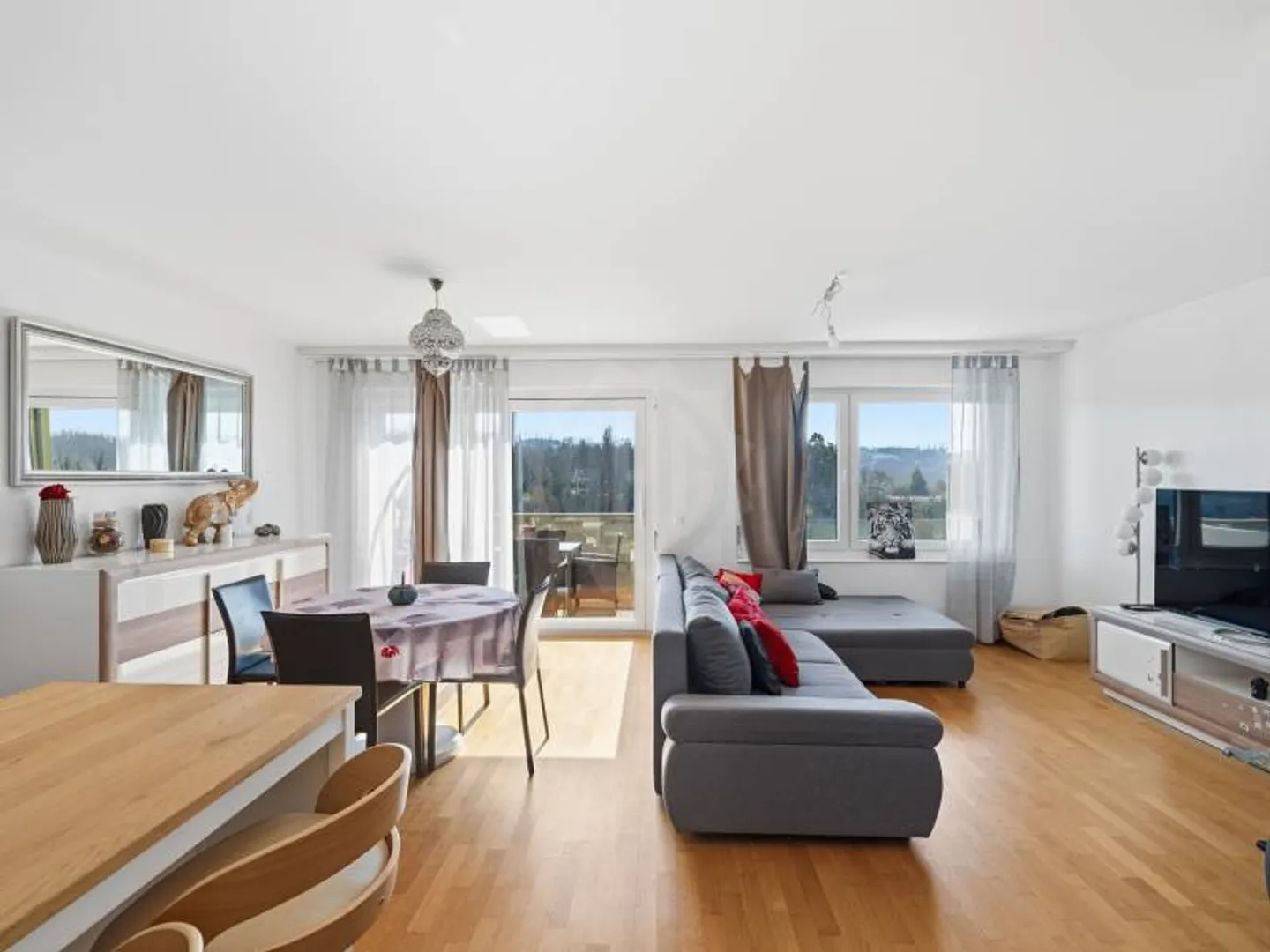 Charming Apartment in Dardagny - Photo 1 of 9