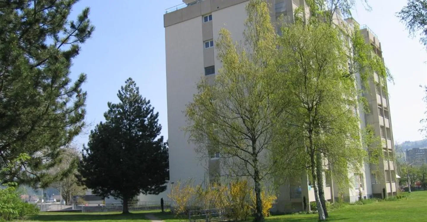 50% de réduction estivale jusqu'à la fin de l'année ! - Photo 1 sur 1