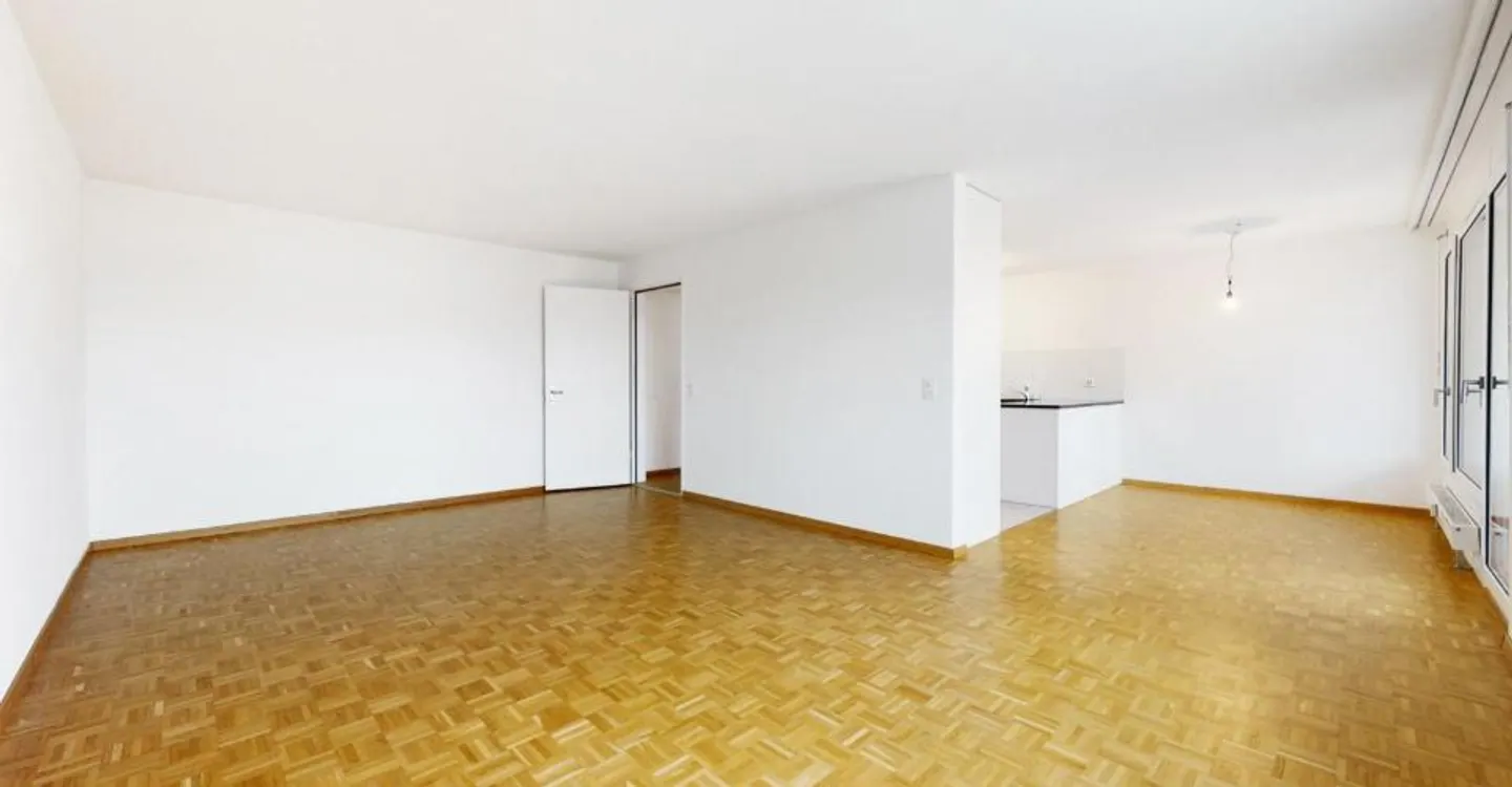 Spacious Apartment near Limmat - Photo 3 of 6