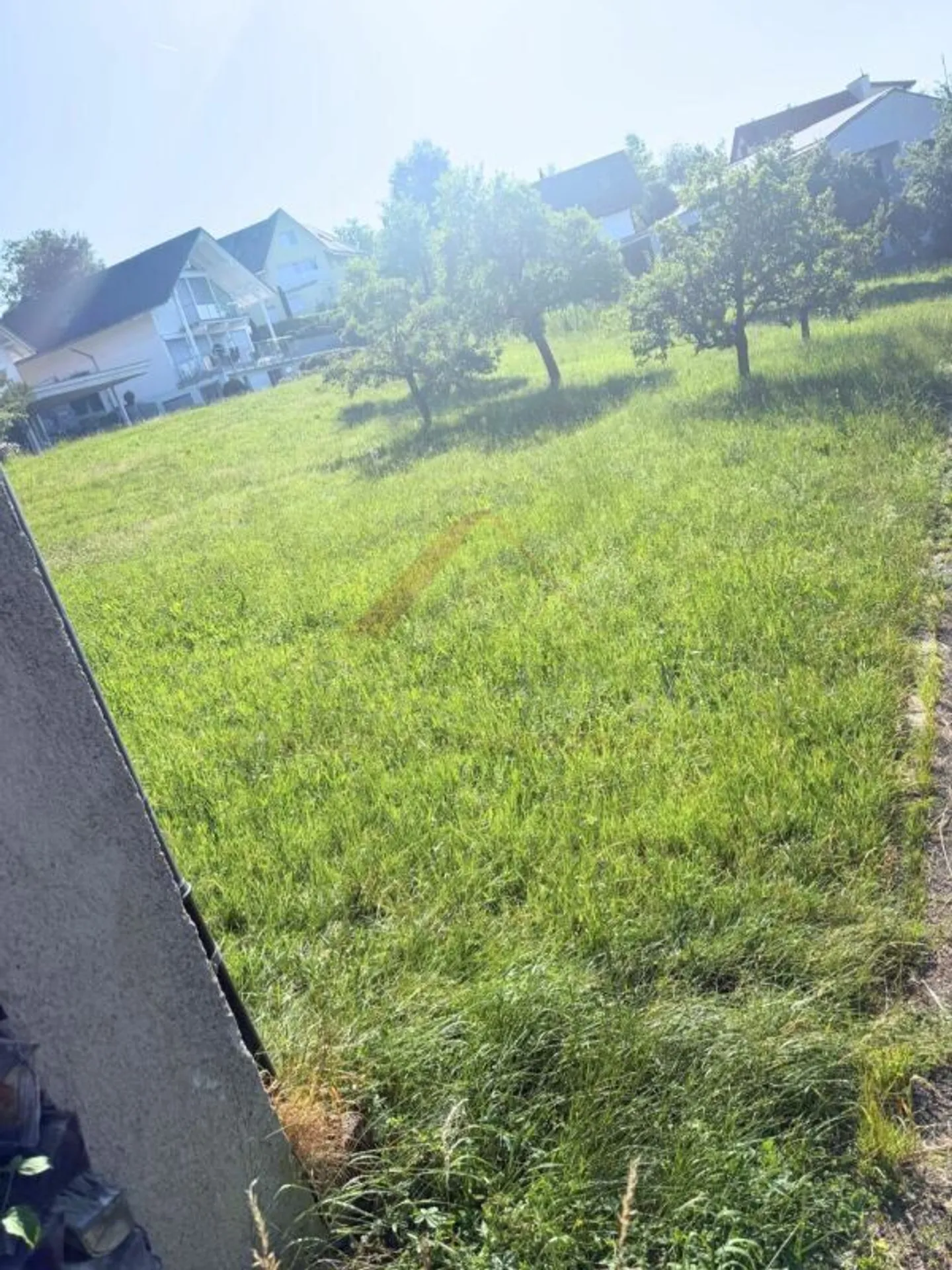 Sunny building plot with a view - Realize your dream home in Lampenberg - Photo 3 of 5