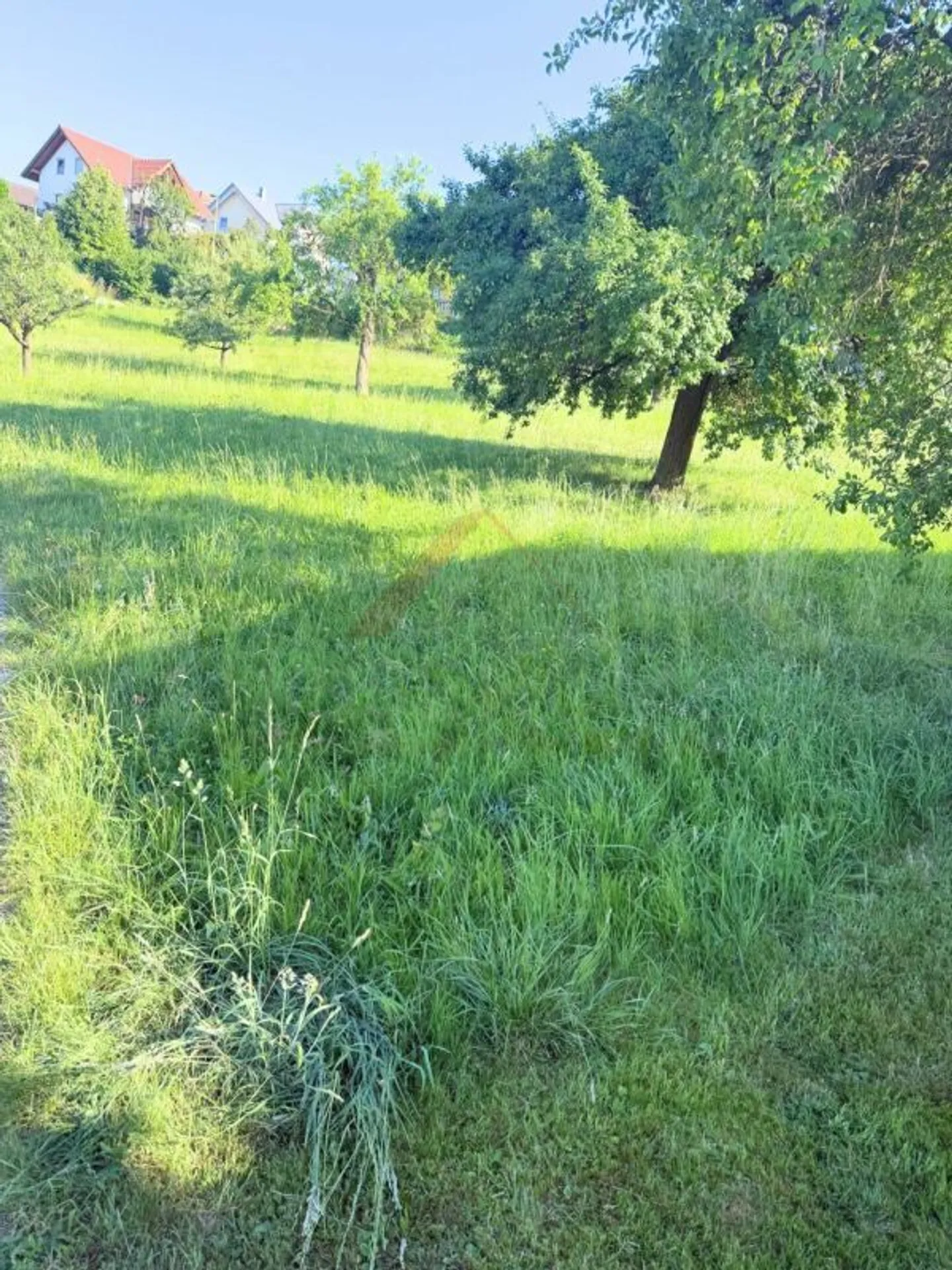 Sunny building plot with a view - Realize your dream home in Lampenberg - Photo 5 of 5