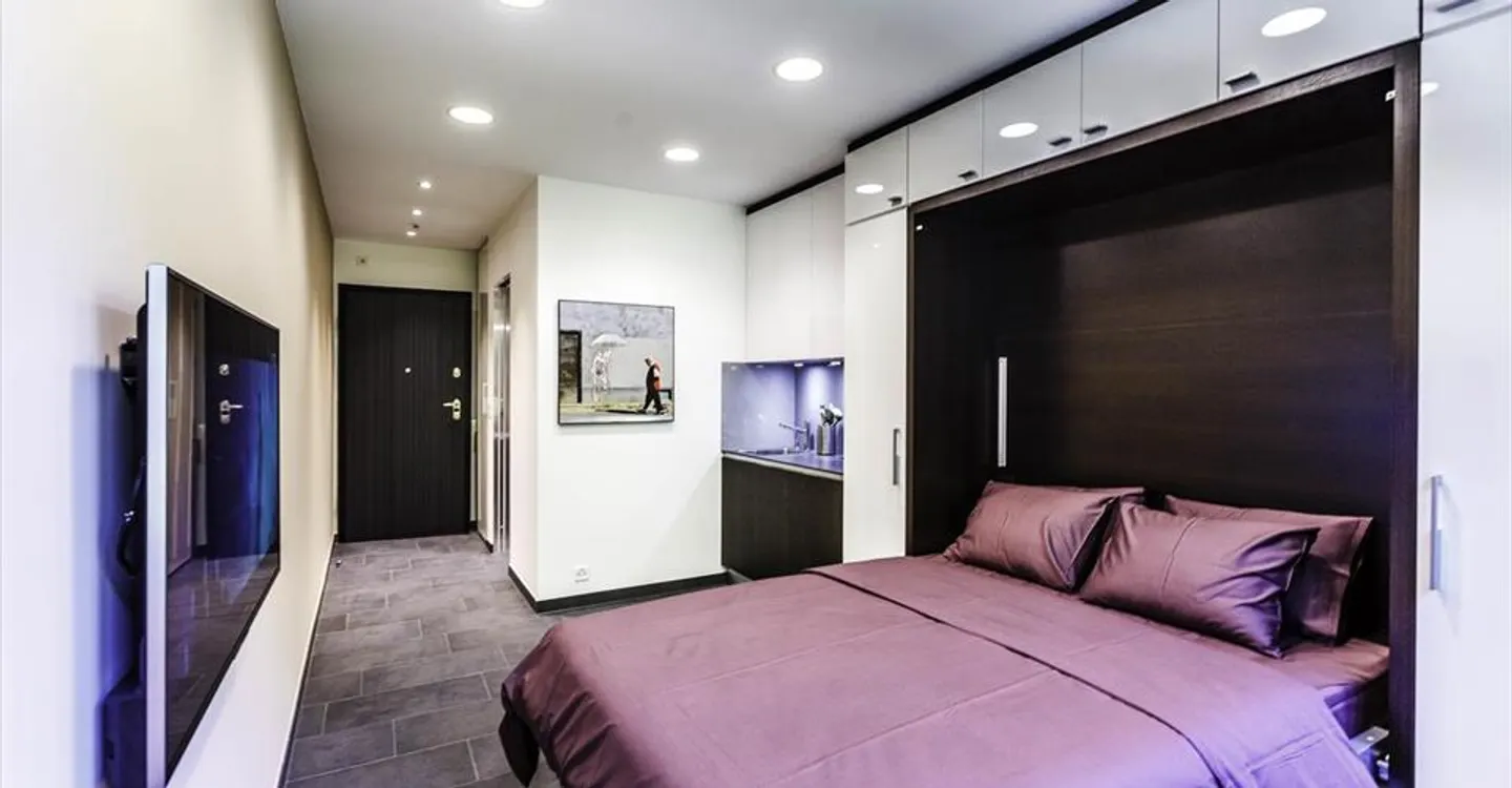 Furnished 1.5 Room Apartment - Photo 4 of 5