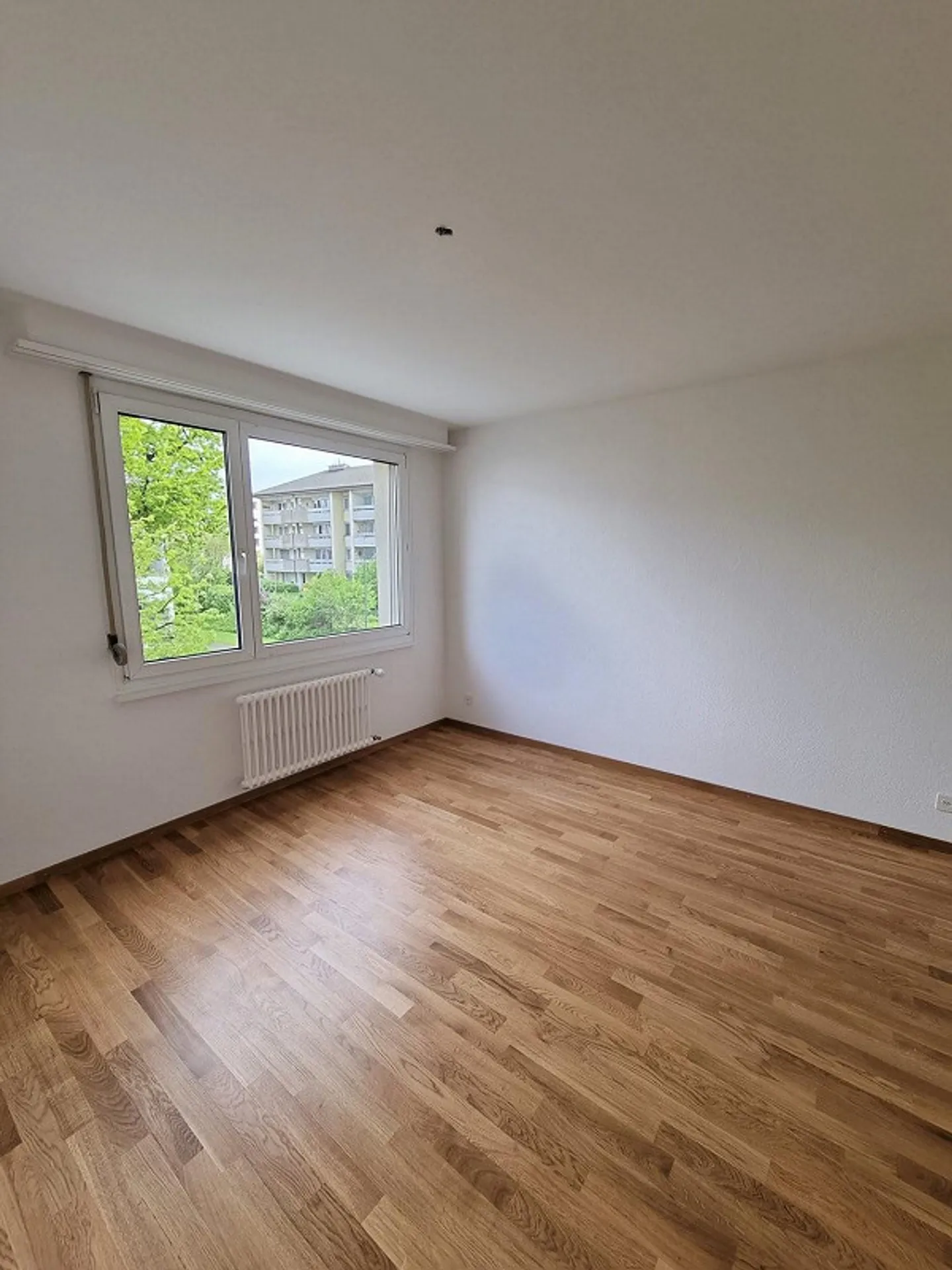 Perfect for singles and couples - Photo 4 of 8