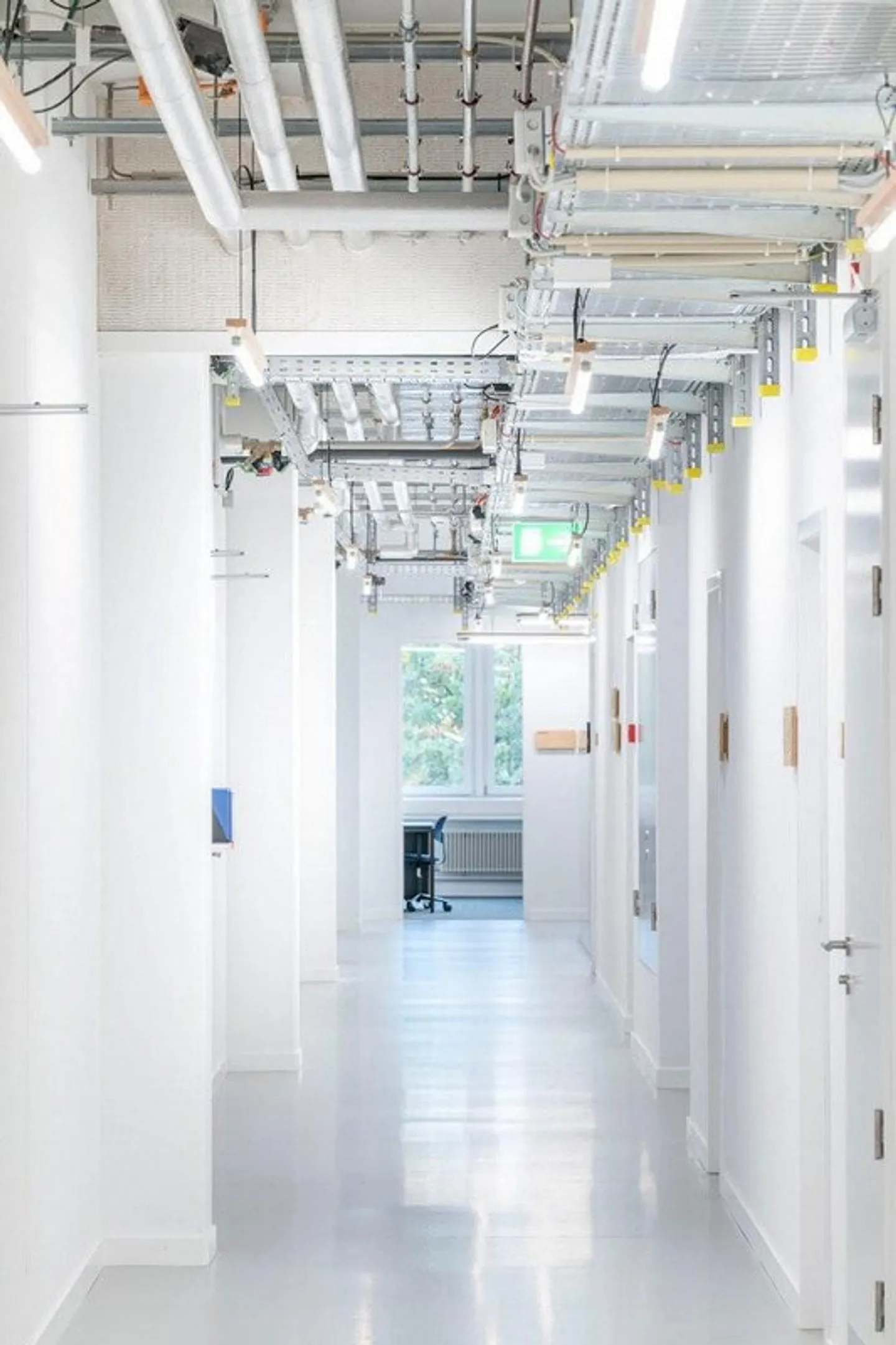 Spazi di laboratorio completamente attrezzati e flessibili nel Life Science Hub di Reinach - Foto 7 di 7