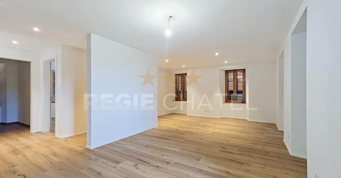 Magnifique 5.5 pces sur 3 niveaux - Foto 4 di 10