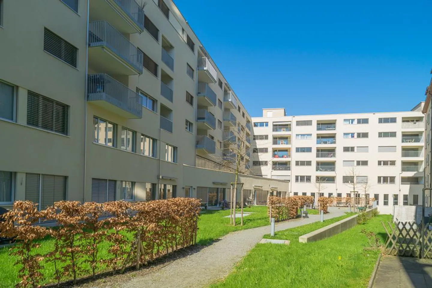 Visite : Jeudi 20 novembre 2025 de 16h00 à 16h30 - Photo 2 sur 7