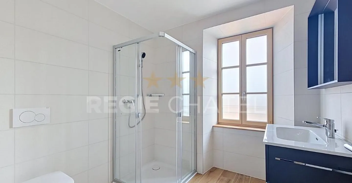 Magnifique 5.5 pces sur 3 niveaux - Foto 7 di 10