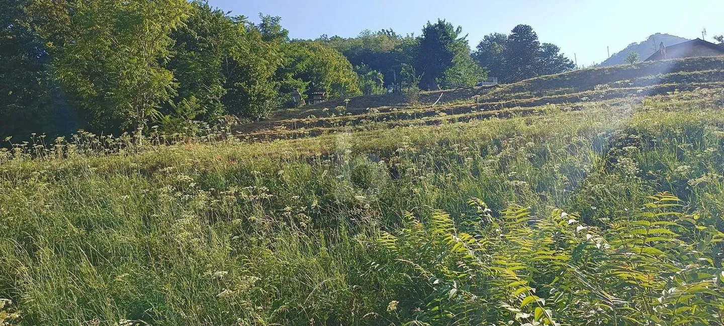 TERRENO EDIFICABILE CON VISTA APERTA - Foto 2 di 5