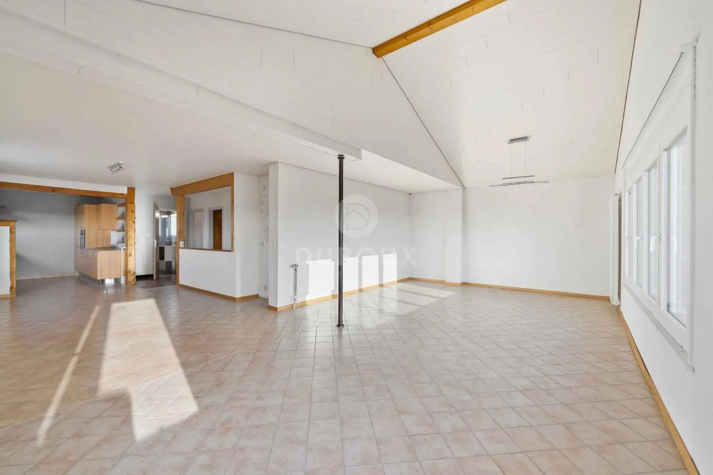 YVERDON-LES-BAINS - MAGNIFICA VILLA VICINO AL CENTRO CITTADINO - Foto 5 di 13