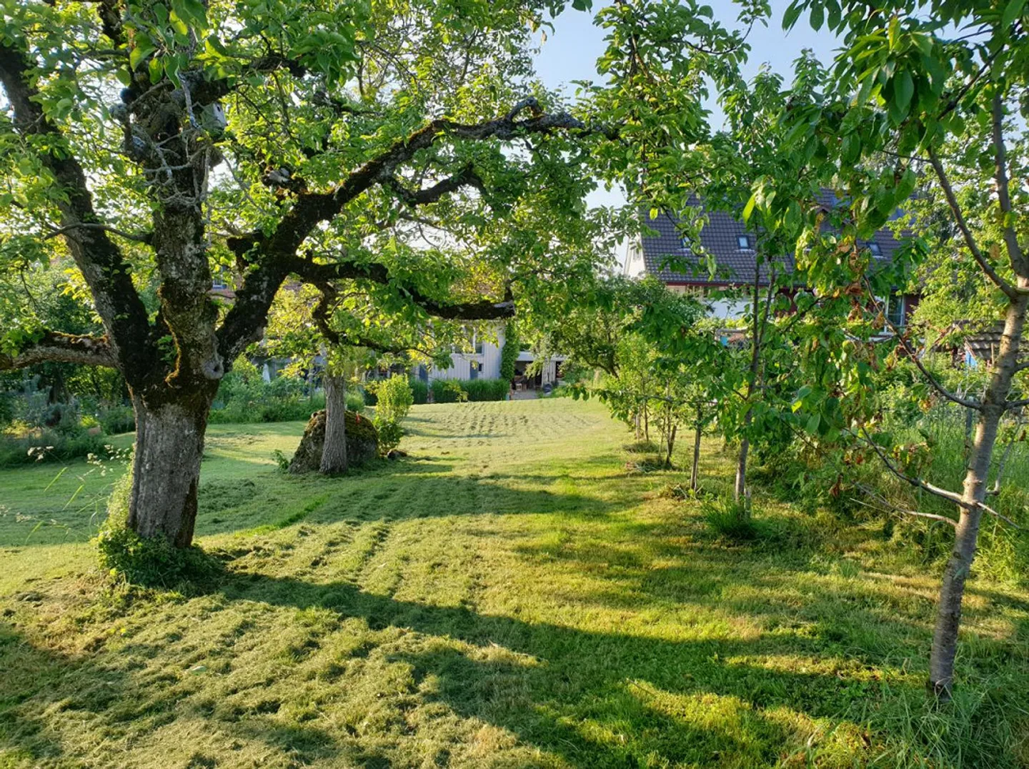 Charmantes Doppelhaus mit Seesicht - Foto 16 von 16