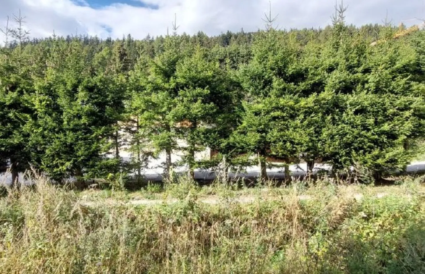 Studio 1 room in Crans-Montana - Photo 6 of 6