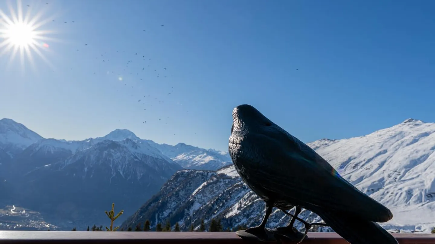 Wunderbares Chalet an bester Lage auf der Belalp - Foto 4 von 27