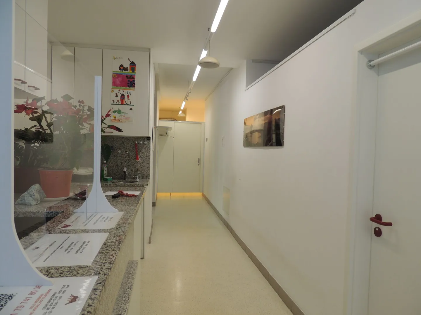 SPAZIO COMMERCIALE CON AMPIE VETRATE (ricerca subentrante) - Foto 6 di 22