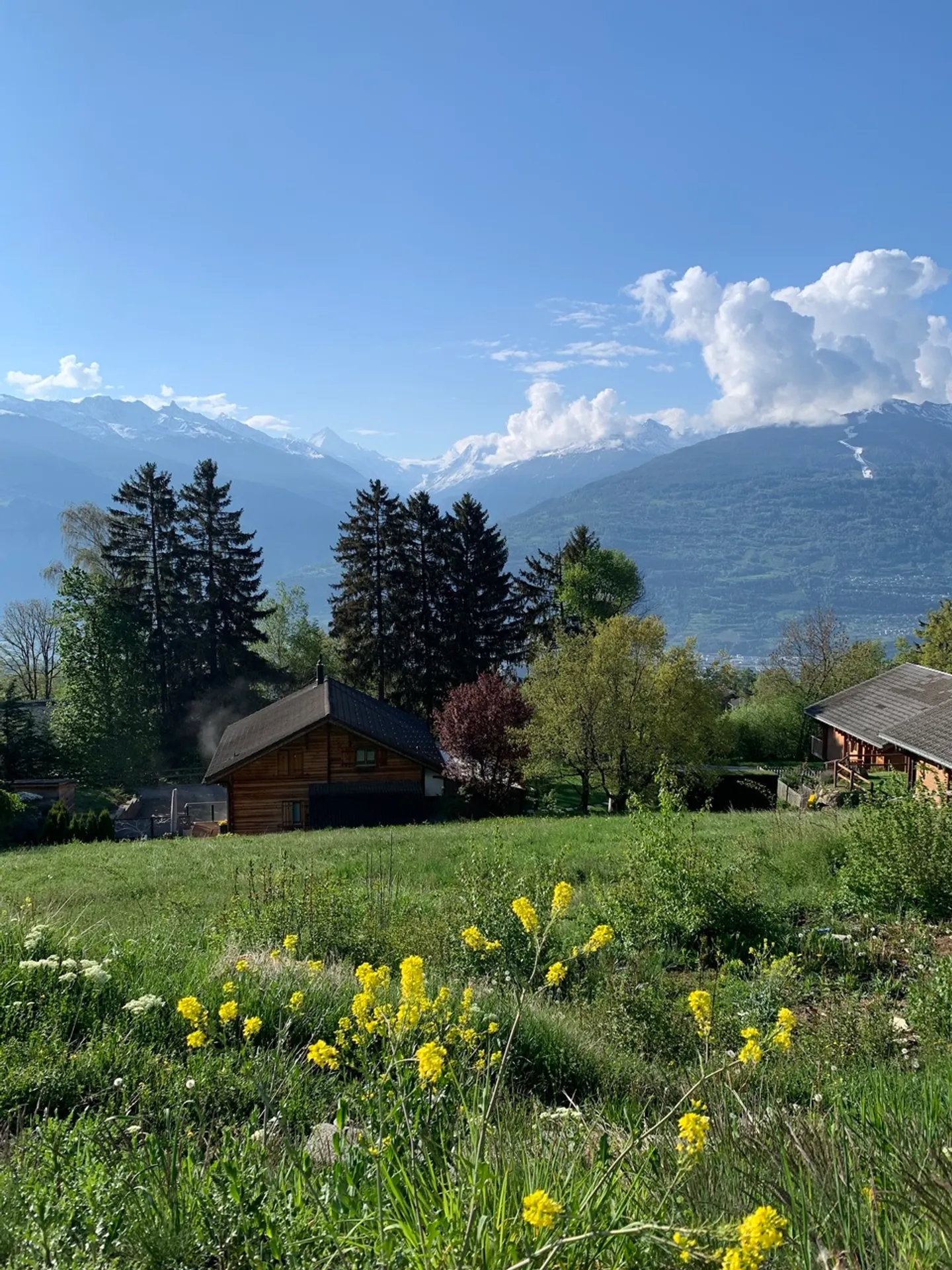 Terrain pour votre chalet de rêve - Photo 1 sur 5
