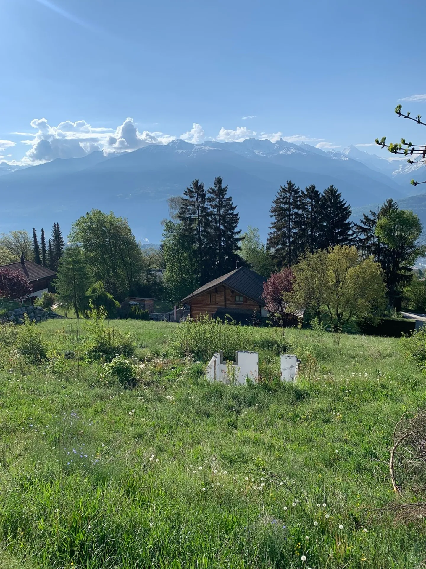 Terrain pour votre chalet de rêve - Photo 3 sur 5