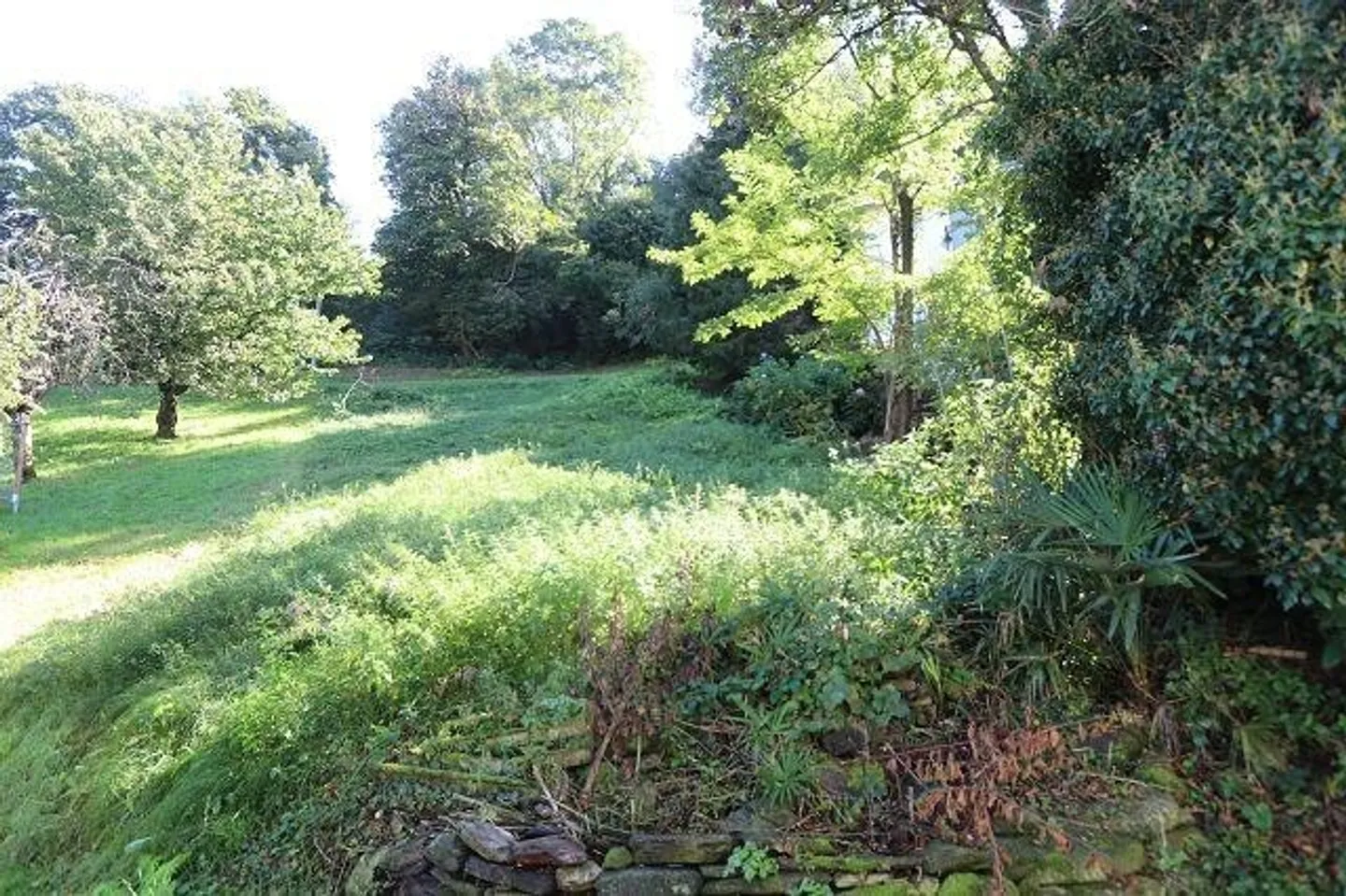 Terrain à bâtir tranquille à Cadenazzo - Photo 1 sur 11