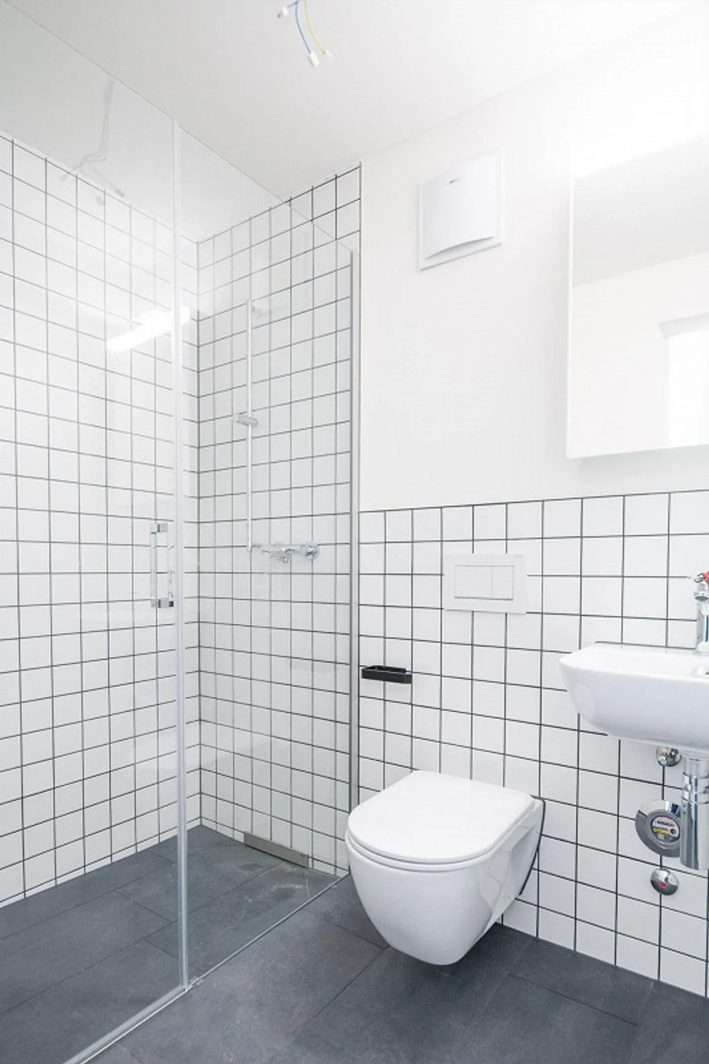 Appartement 1 pièce à Weisslingen - Photo 4 sur 5