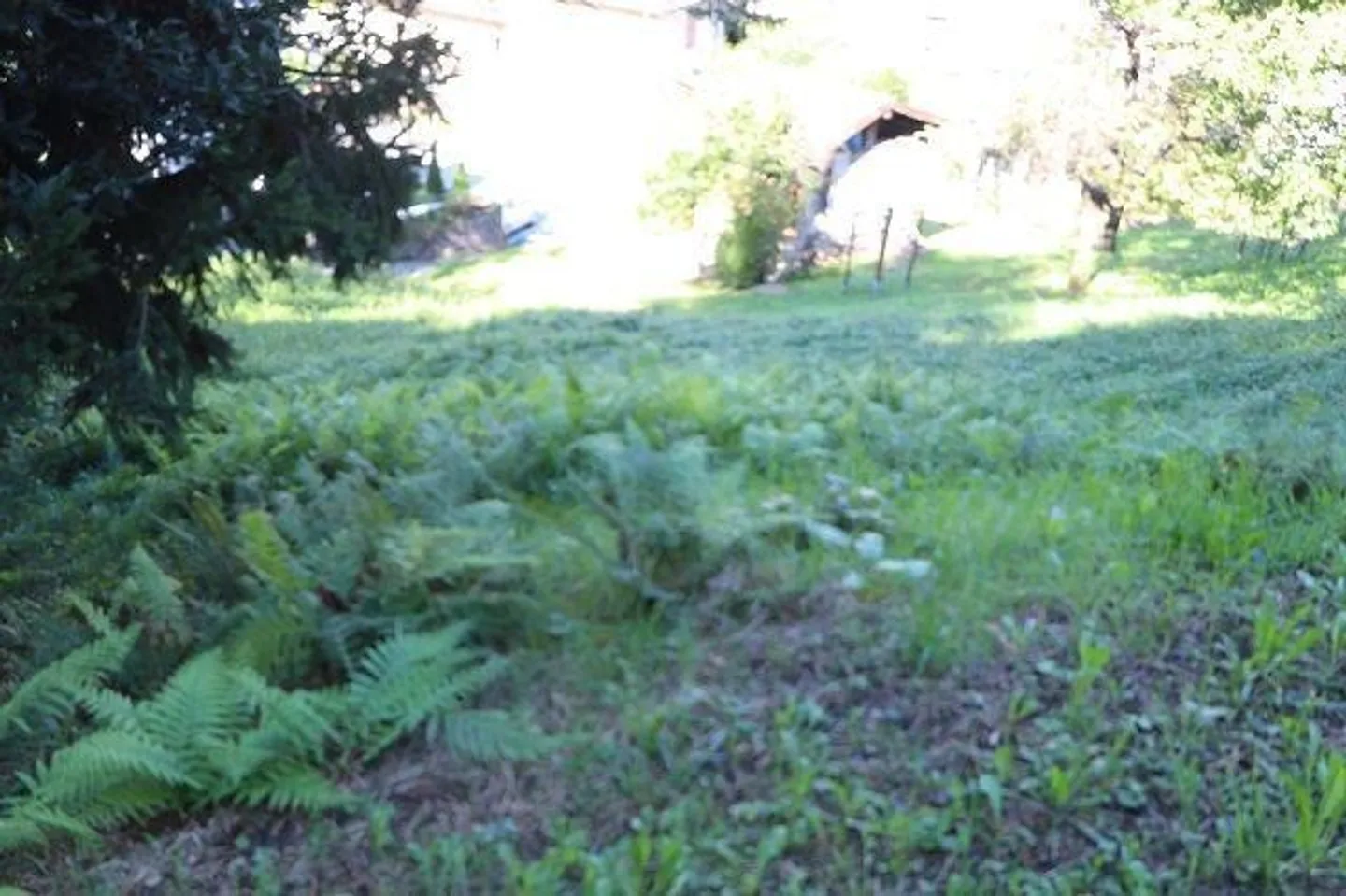 Terrain à bâtir tranquille à Cadenazzo - Photo 3 sur 11