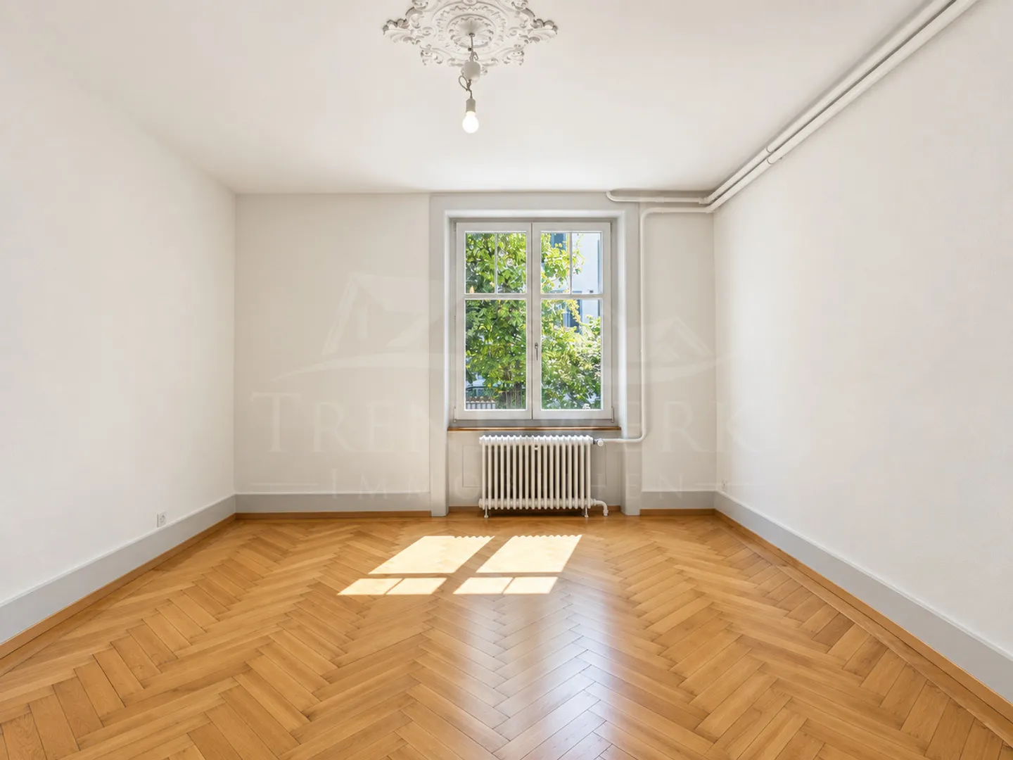 Renovierte Gartenwohnung in Bern - Foto 5 von 14