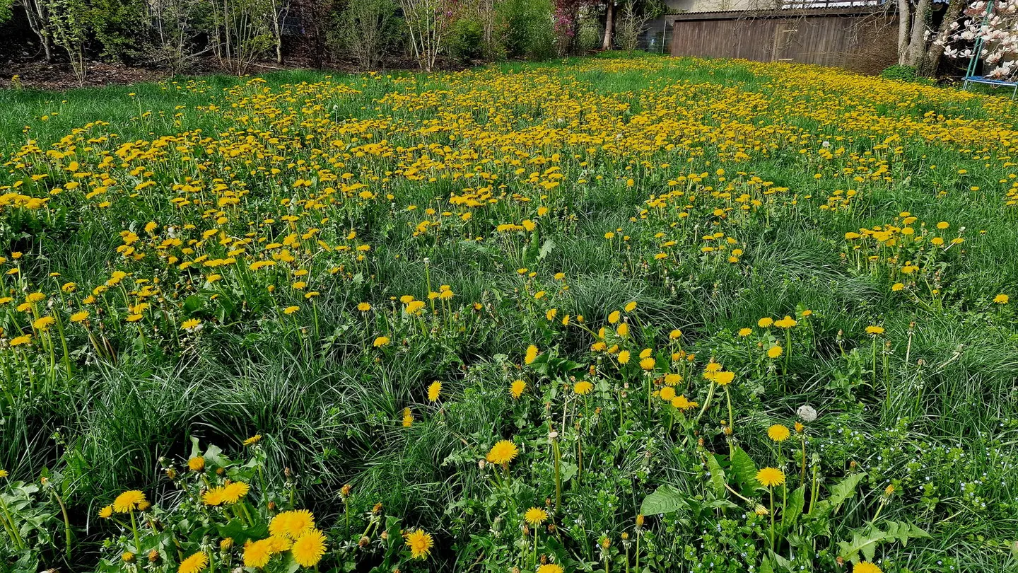 Casa familiare con grande proprietà - Foto 4 di 12