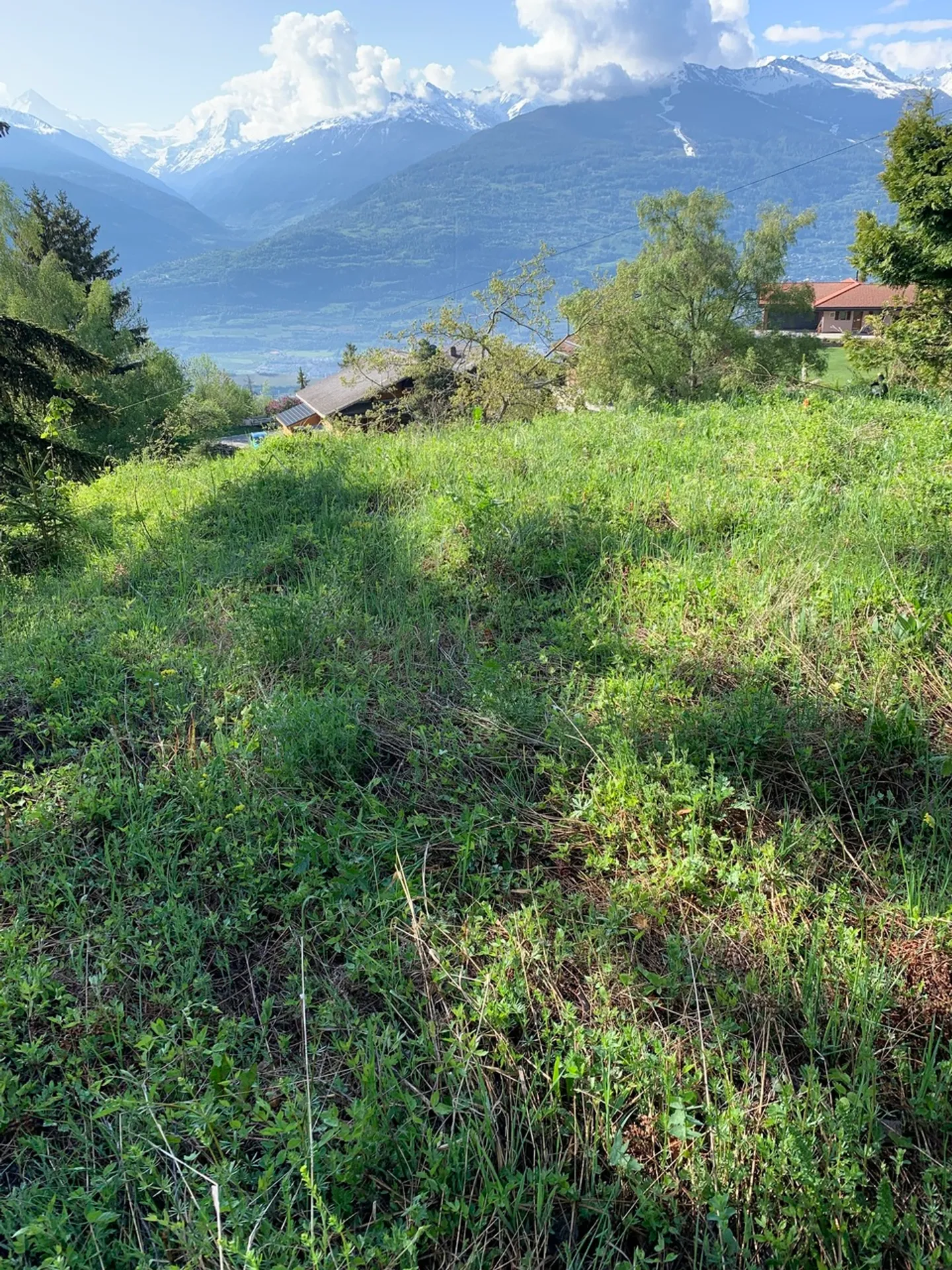 Terrain avec permis de construire - Photo 6 sur 6