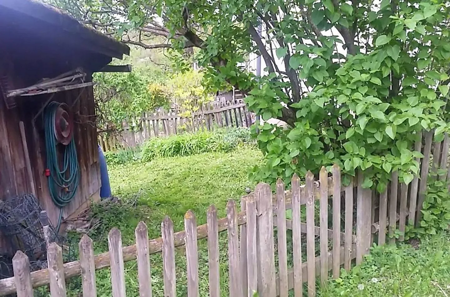 Appartamento 4 1/2 stanze nel verde - Foto 10 di 10