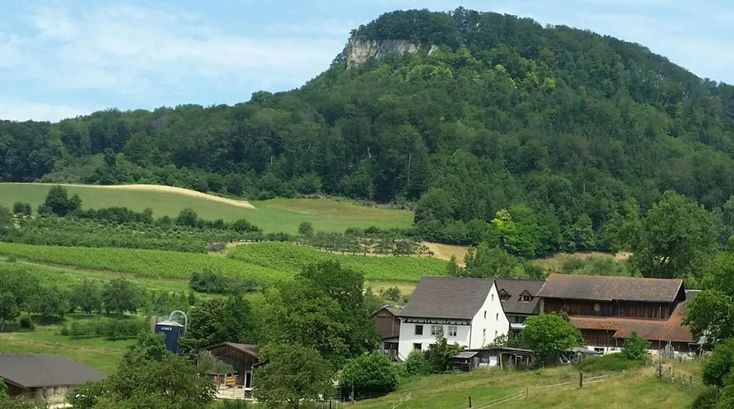 Appartamento 4 1/2 stanze nel verde - Foto 4 di 10