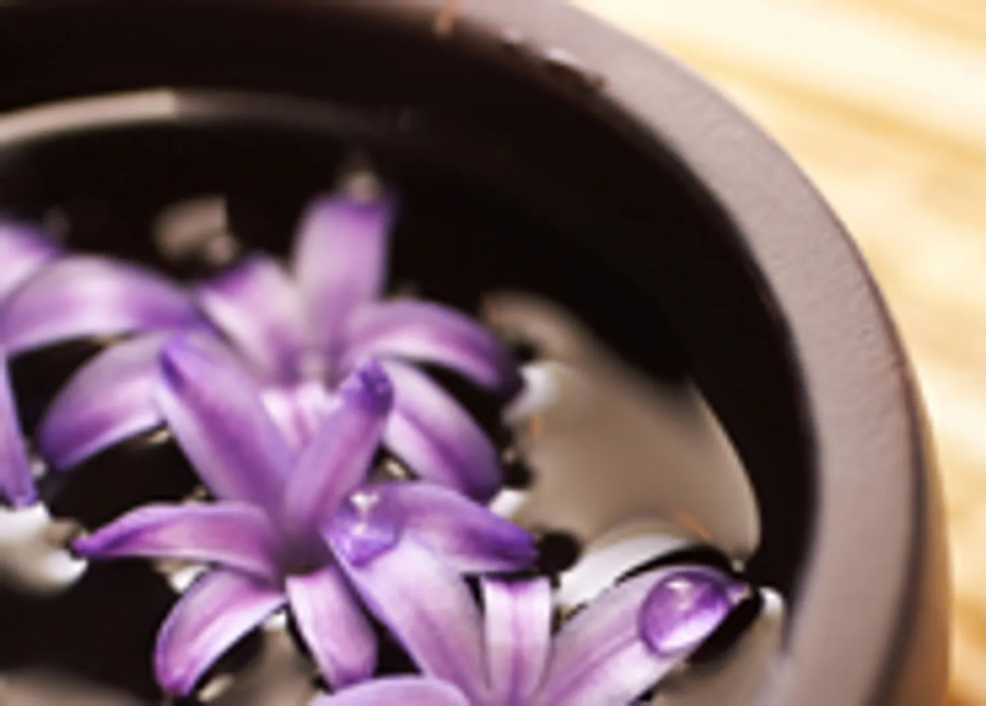 Beauty Institute in Lausanne Ouchy - Photo 1 of 1