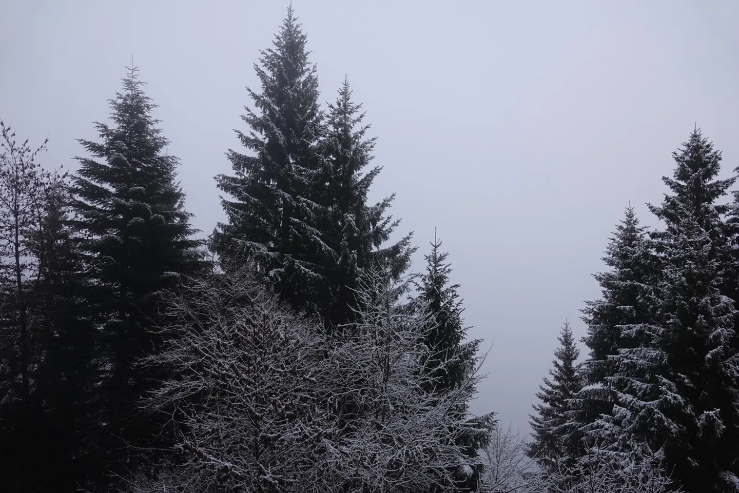 Charmante 2,5-Zimmer-Wohnung in Torgon Ruhig, ohne direkte Nachbarn - Foto 4 von 11