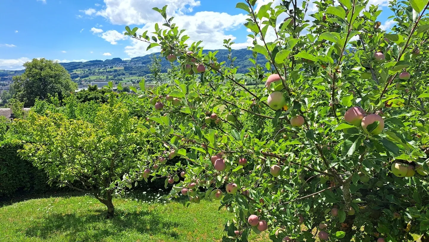 Appartamento mansardato di 2,5 stanze con vista - Foto 9 di 9