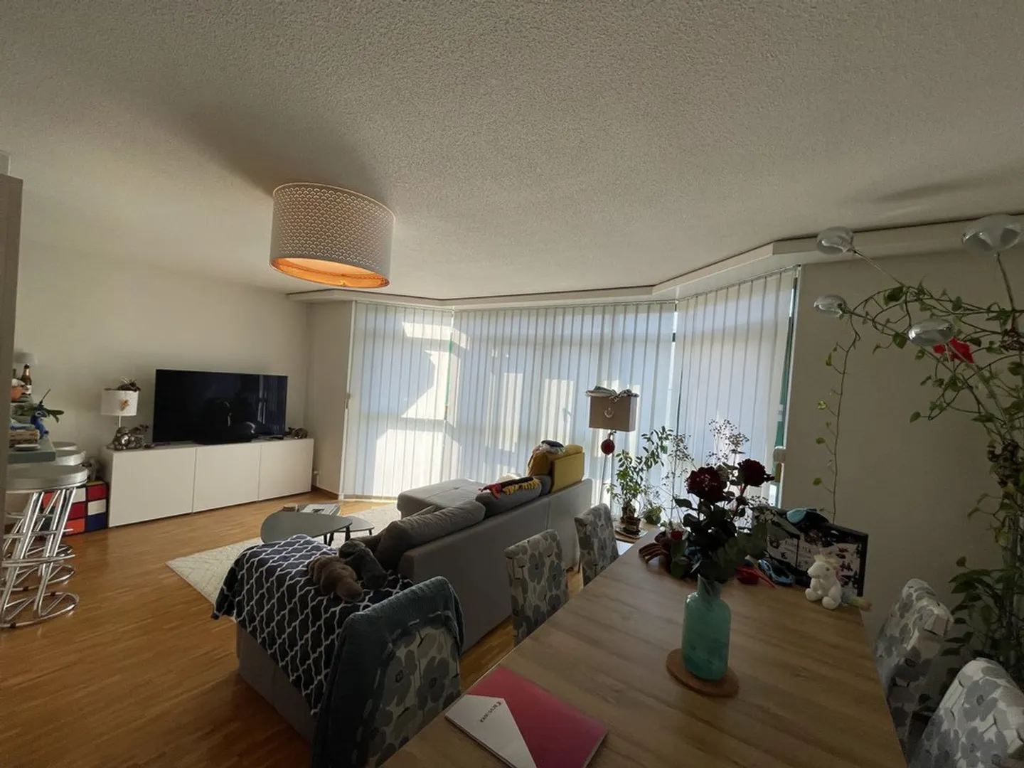 Charming 3.5 Room Apartment - Photo 4 of 9