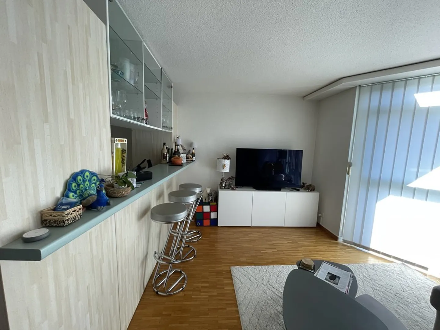 Charming 3.5 Room Apartment - Photo 5 of 9
