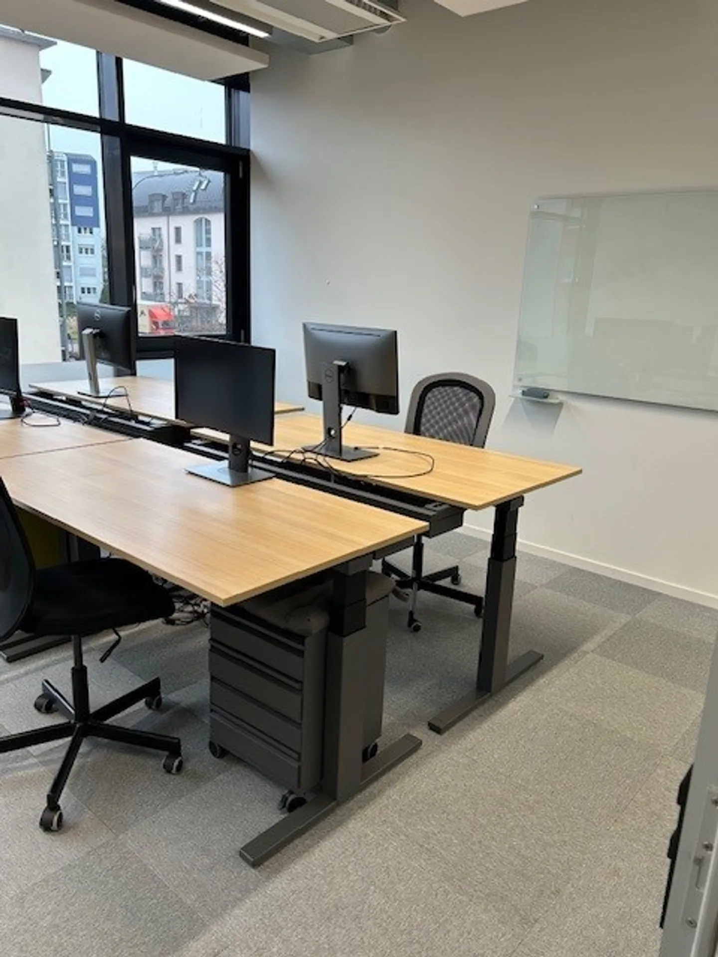 Commercio - Foto 1 di 13