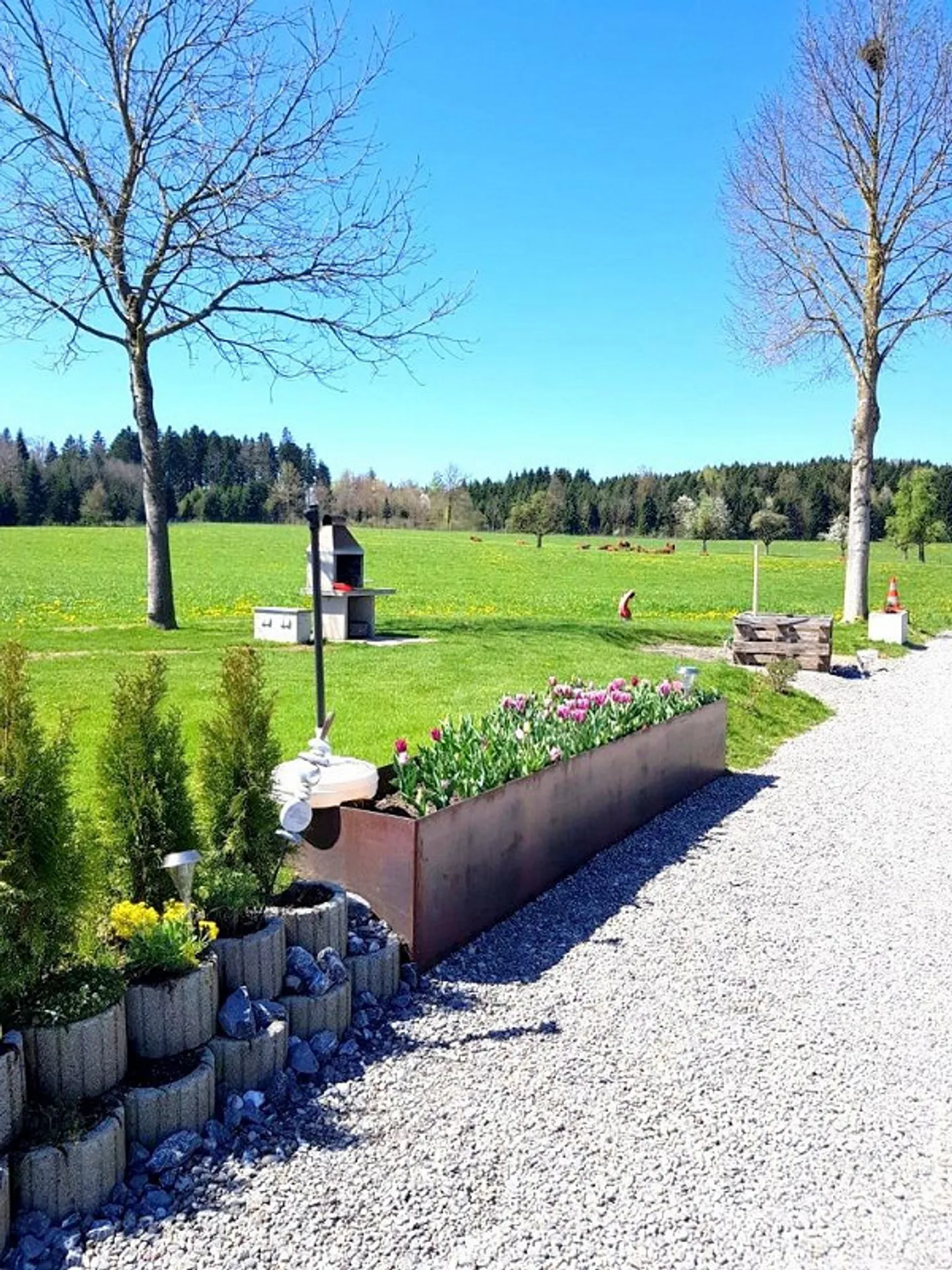 Idyllisches Landleben nahe am Zentrum - Foto 14 von 16