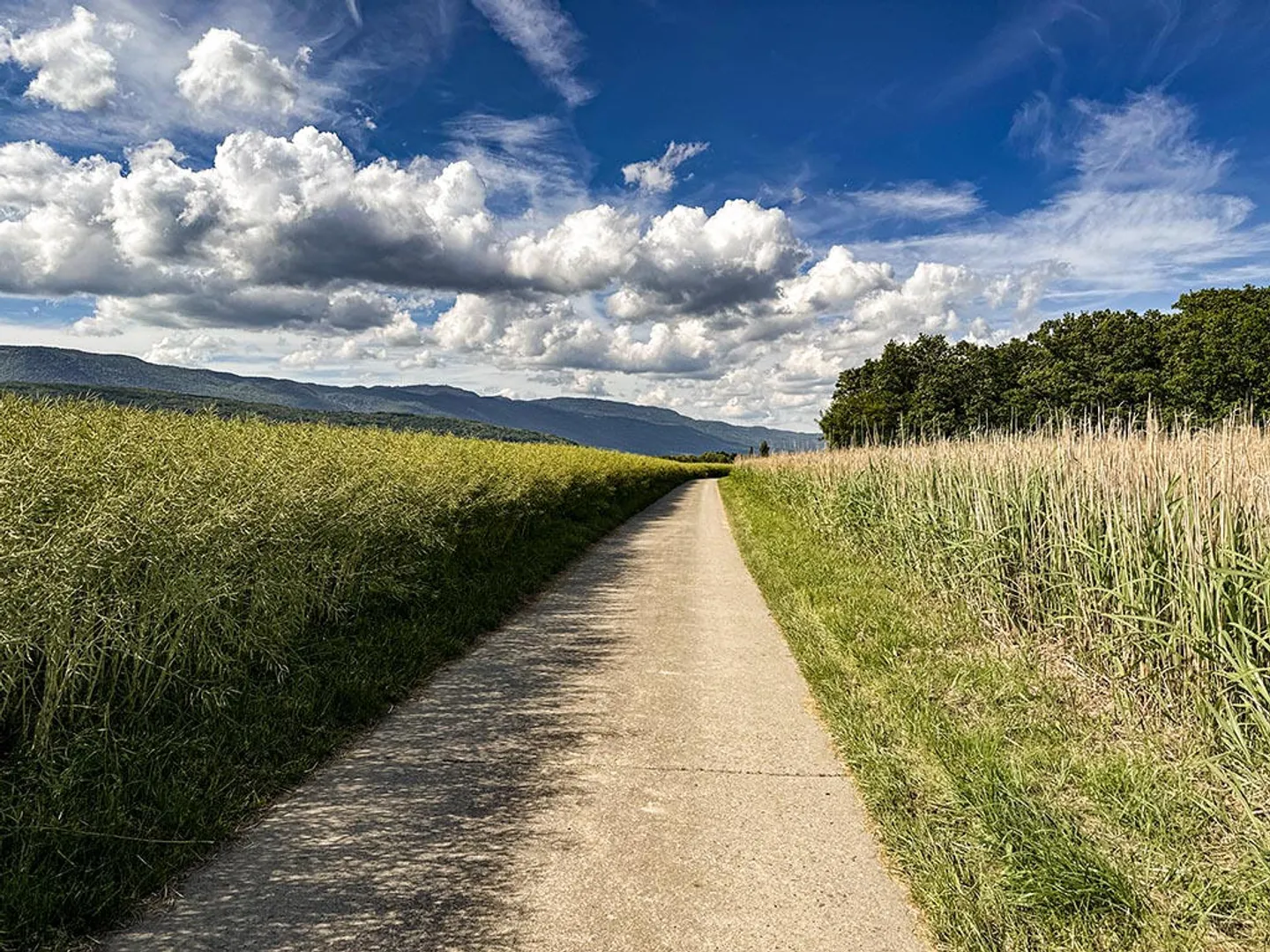 Villa 4.5 rooms - Photo 3 of 3