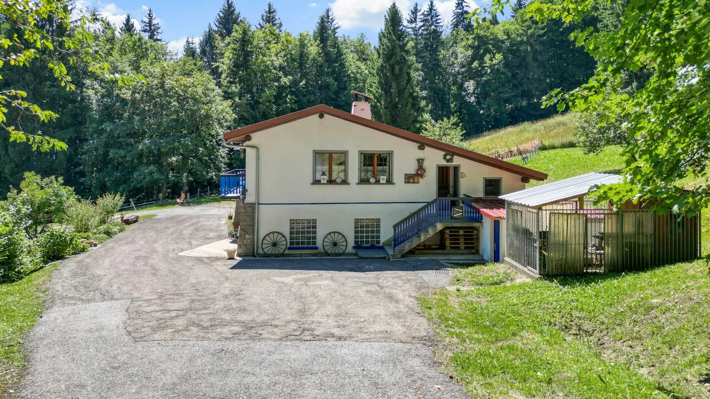 BLONAY - DREAM HOUSE! - Photo 11 of 13