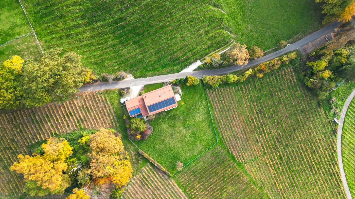 LUTRY - UNICO! VILLA SONTUOSA NEL CUORE DEI VIGNETI - Foto 2 di 13