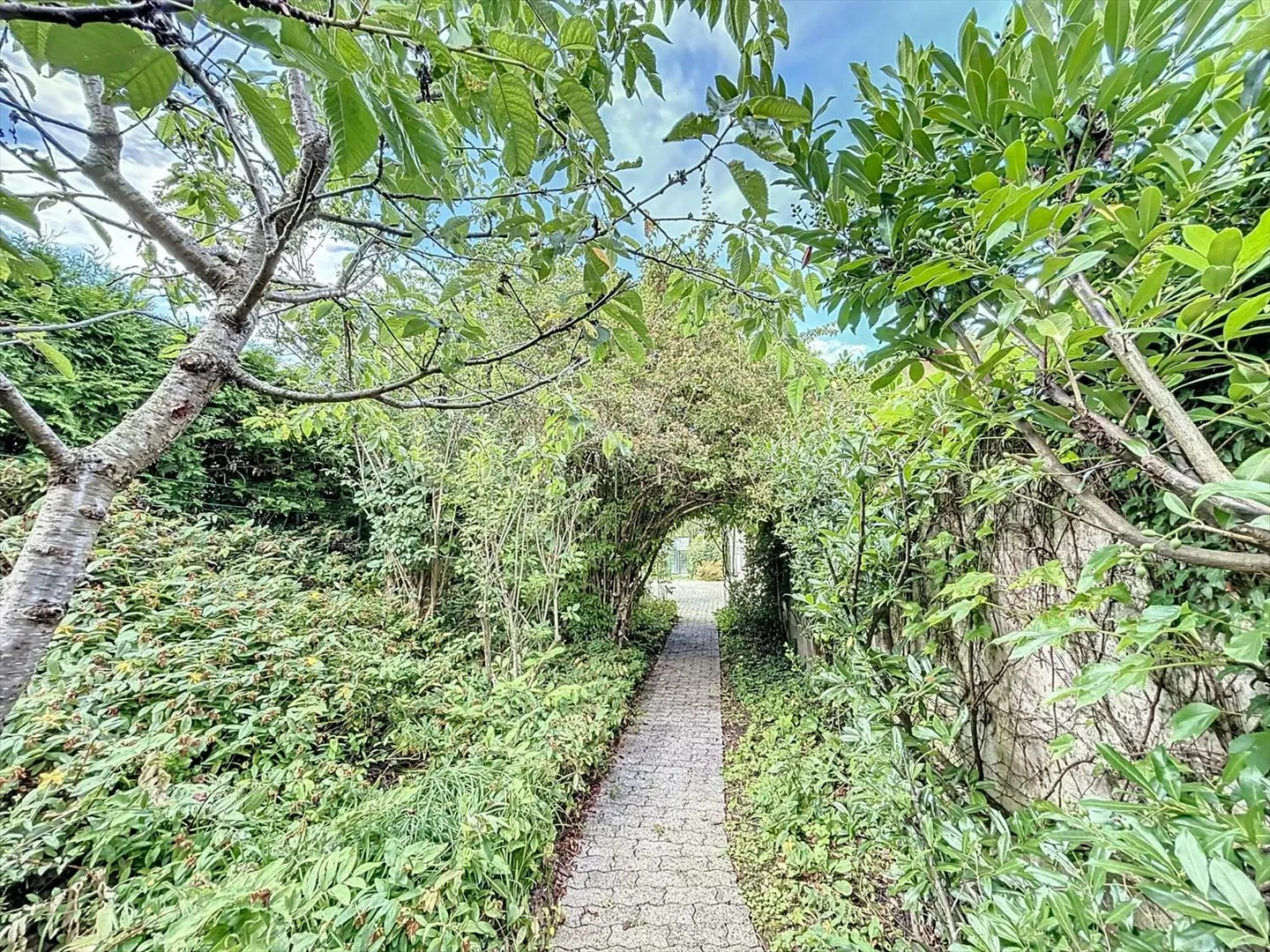 Casa 7.5 stanze - Foto 11 di 11