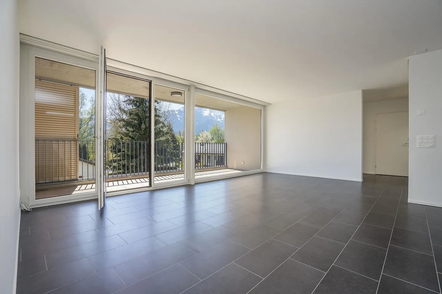 Modern Apartment in Thun - Photo 1 of 8