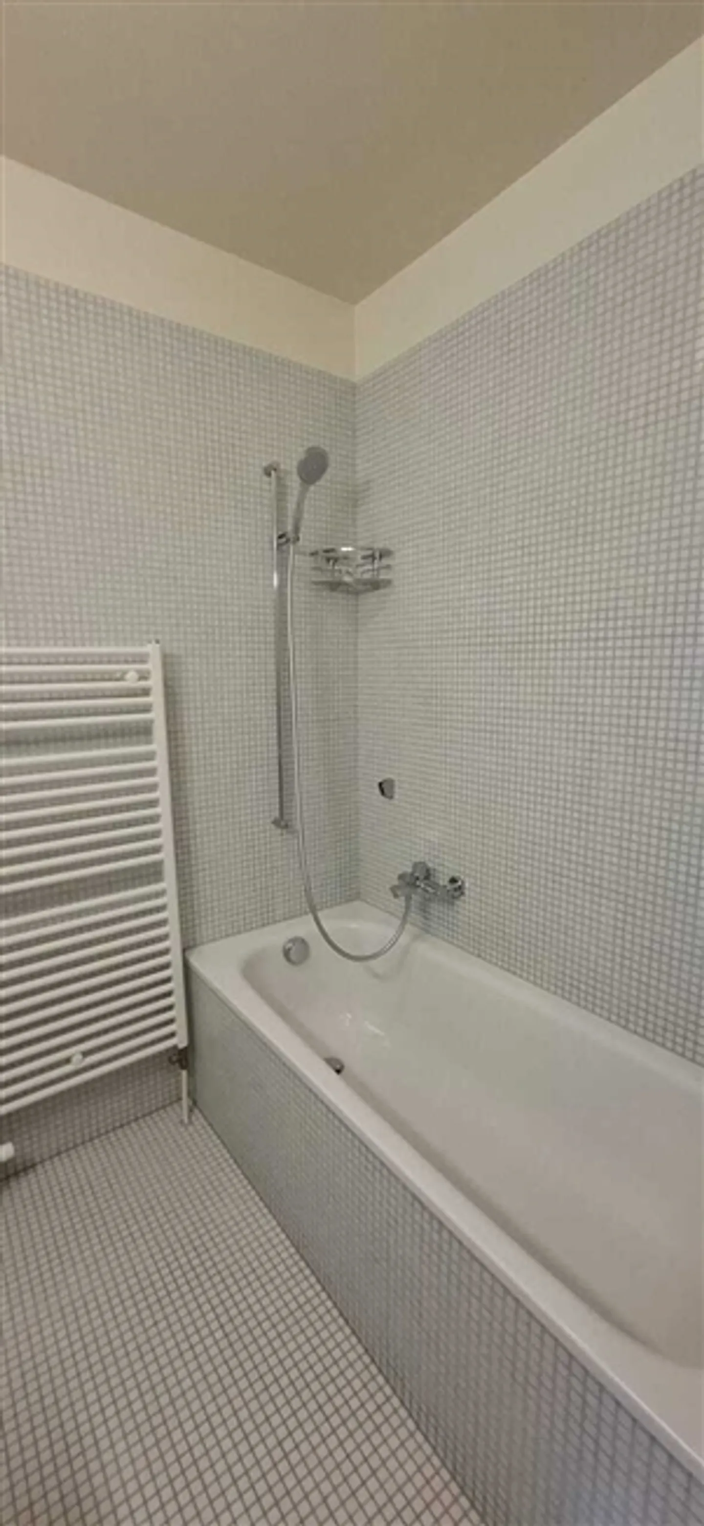 4-room apartment on the ground floor, communal garden with garage additionally - Photo 11 of 14