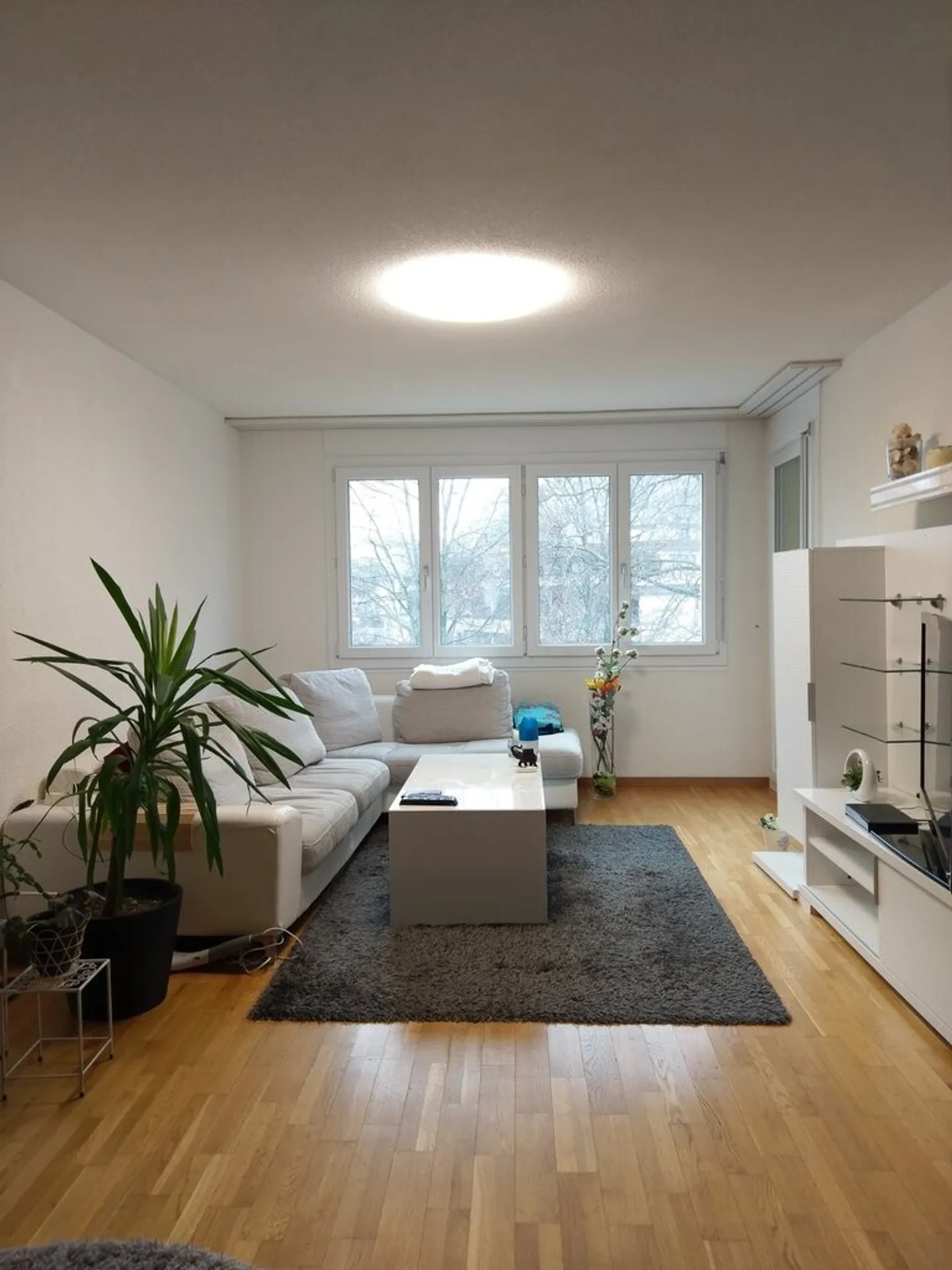 Appartamento accogliente di 3,5 stanze in una posizione tranquilla - Foto 3 di 9