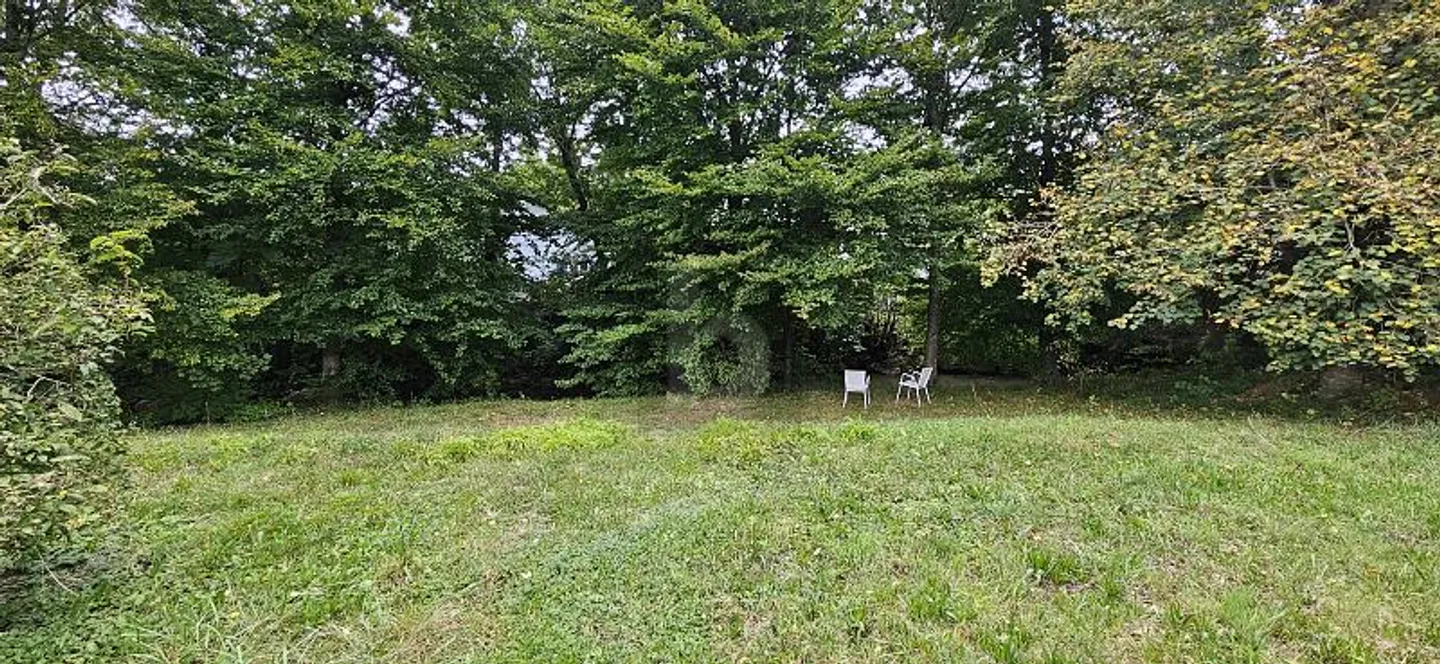 Peaceful Building Plot in Vicques - Photo 4 of 6