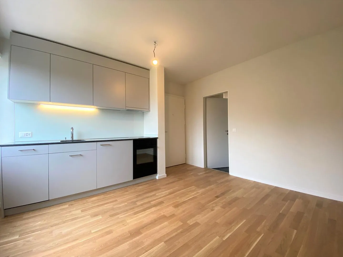 Appartement 1 pièce - Photo 4 sur 5