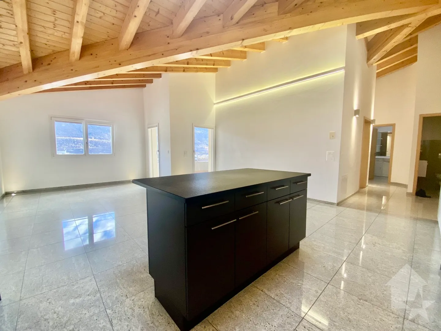 Magnificent penthouse apartment near the center, garage, park and view! - Photo 6 of 19